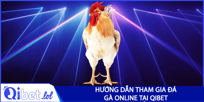Hướng dẫn tham gia đá gà online tại Qibet